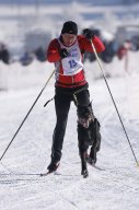 Lenk 2013